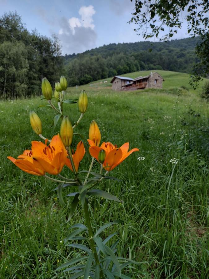 Bed and Breakfast Rifugio Alpino Baudinet - Trek&Relax Chiusa di Pesio Exterior foto
